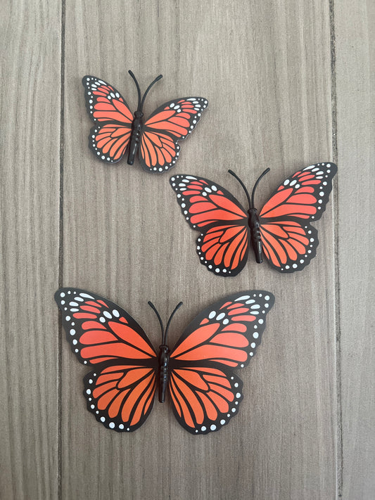 Monarch butterflies